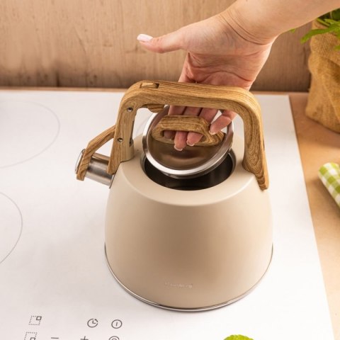 CZAJNIK STALOWY Z GWIZDKIEM 2,5L KLAUSBERG KB-7917 Klausberg