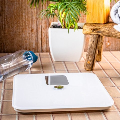 ANALITYCZNA WAGA ŁAZIENKOWA SMART IOS ANDROID KLAUSBERG KB-7941 Klausberg