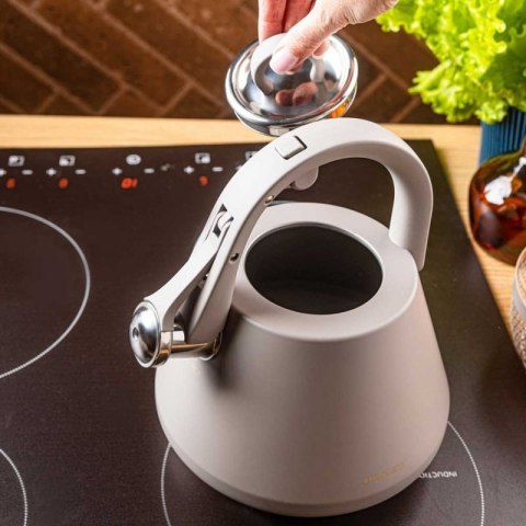 CZAJNIK STALOWY Z GWIZDKIEM 2,5L KLAUSBERG KB-7949 SZARY Klausberg