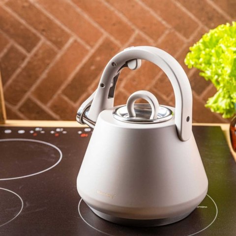 CZAJNIK STALOWY Z GWIZDKIEM 2,5L KLAUSBERG KB-7949 SZARY Klausberg