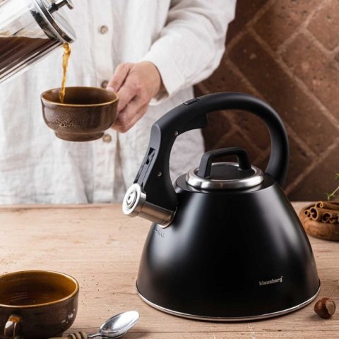 CZAJNIK STALOWY Z GWIZDKIEM 2,5L KLAUSBERG KB-7952 Klausberg