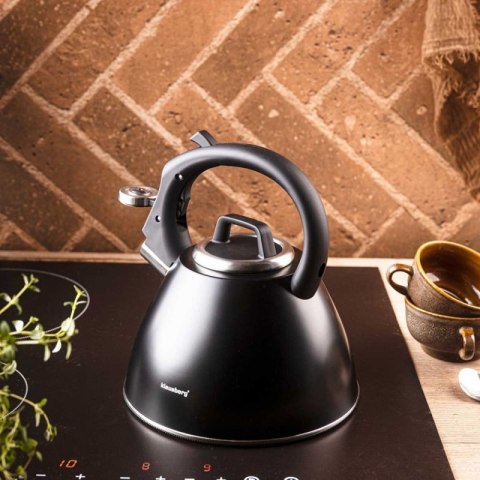 CZAJNIK STALOWY Z GWIZDKIEM 2,5L KLAUSBERG KB-7952 Klausberg