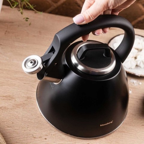 CZAJNIK STALOWY Z GWIZDKIEM 2,5L KLAUSBERG KB-7952 Klausberg