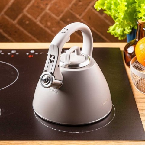 CZAJNIK STALOWY Z GWIZDKIEM 2,5L KLAUSBERG KB-7953 Klausberg