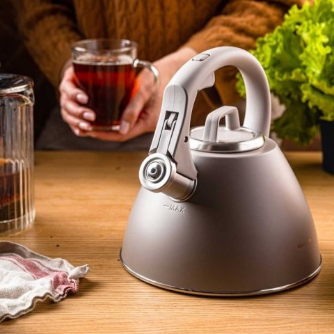 CZAJNIK STALOWY Z GWIZDKIEM 2,5L KLAUSBERG KB-7953 Klausberg