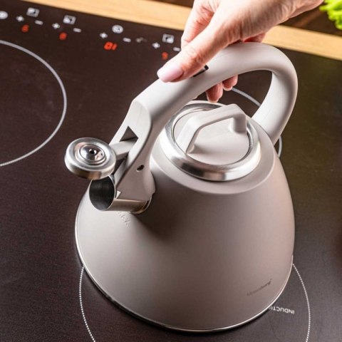 CZAJNIK STALOWY Z GWIZDKIEM 2,5L KLAUSBERG KB-7953 Klausberg