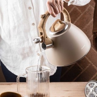 CZAJNIK STALOWY Z GWIZDKIEM 2,5L KLAUSBERG KB-7954 Klausberg