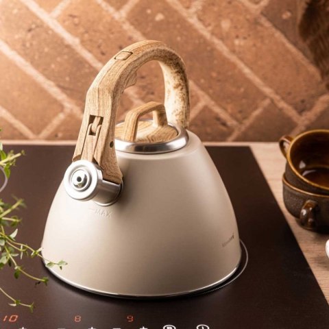 CZAJNIK STALOWY Z GWIZDKIEM 2,5L KLAUSBERG KB-7954 Klausberg