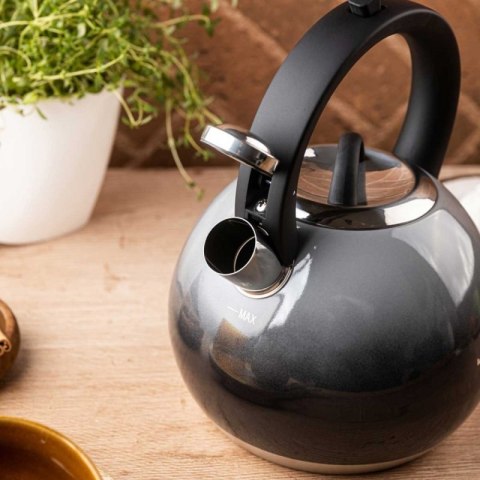 CZAJNIK STALOWY Z GWIZDKIEM 3L KLAUSBERG KB-7955 GRAFITOWY POŁYSK Klausberg