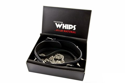 Wiązania-WHIPS obroża męska z półkółkami i smyczą Whips Collection