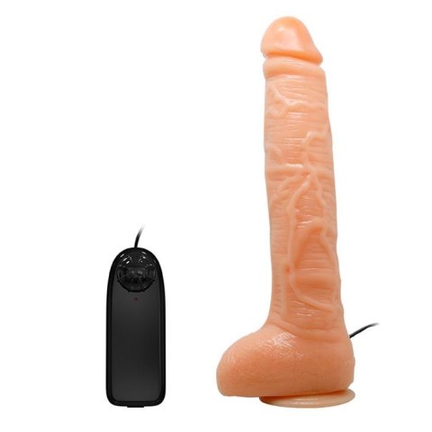 BAILE - Penis Vibration BAILE