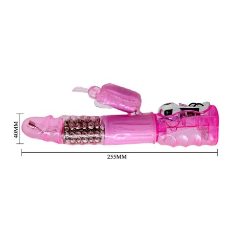 BAILE- Deluxe Dream Lover, Vibration Rotation BAILE