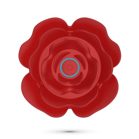 CRUSHIOUS ROSALINE ROTATING ANAL PLUG WITH REMOTE CONTROL Crushious