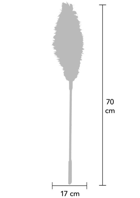 Double Feather Tickler Red Hidden Desire