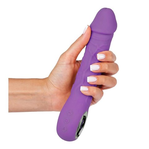 Purple vibrator - 10 different modes of vibration and heating function Fantasy