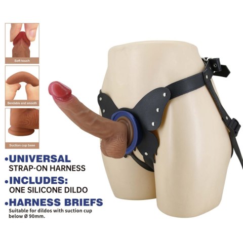 Pretty Love Wells 6.3" Silicone Dildo with Harness Briefs Pretty Love