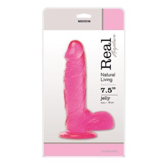 Dildo-JELLY DILDO REAL RAPTURE PINK 7.5" MSX Distribution S.r.l.