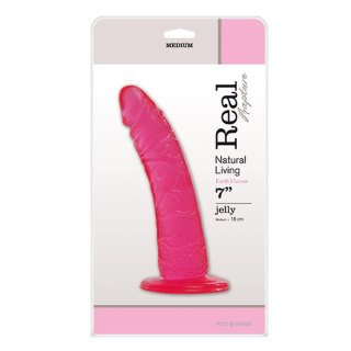 Dildo-JELLY DILDO REAL RAPTURE PINK 7" MSX Distribution S.r.l.