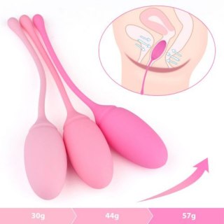 Kulki- Palline Vaginali Training Pleasure MSX Distribution S.r.l.