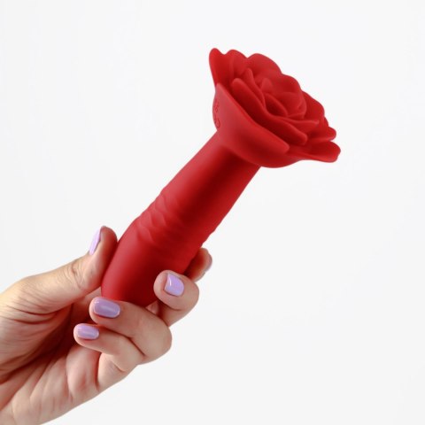 CRUSHIOUS ROMEO THRUSTING ANAL PLUG WITH REMOTE CONTROL Crushious - Lunyvan S.L.
