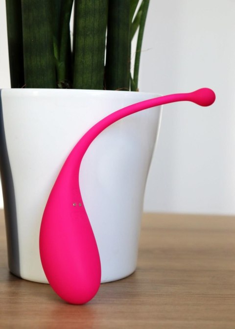 Smart Egg"" - App Controlled massager Boys of Toys Sp. z o.o.
