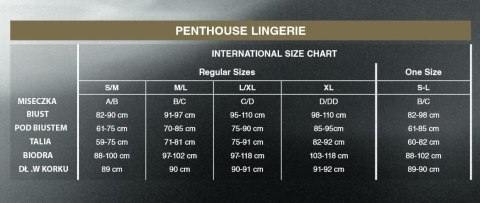 Bielizna-After sunset blue L/XL PENTHOUSE Satisfyer - Triple A Marketing GmbH