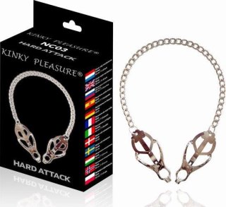 Kinky Pleasure - Hard Attack POWER ESCORTS