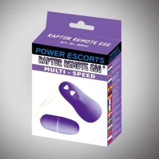 Raptor remote egg purple remote egg POWER ESCORTS