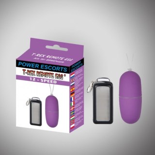 T rex remote egg purple remote control egg 12 speed POWER ESCORTS