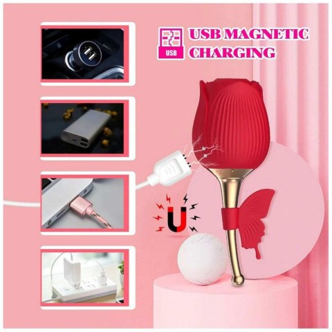 Flirting Partner USB 10 functions Boys of Toys Sp. z o.o.
