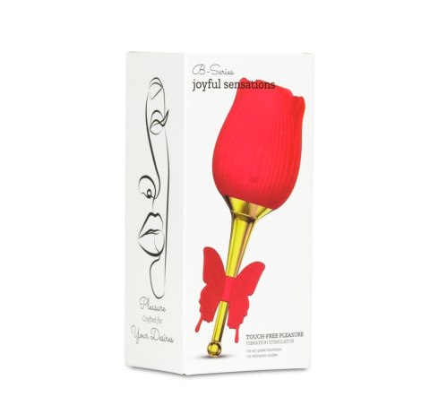 Flirting Partner USB 10 functions Boys of Toys Sp. z o.o.