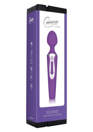 Legend Massager Purple SCALA