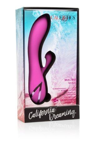 Malibu Minx Pink SCALA