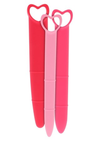 Silicone Vaginal Dilators 3pcs Pink SCALA