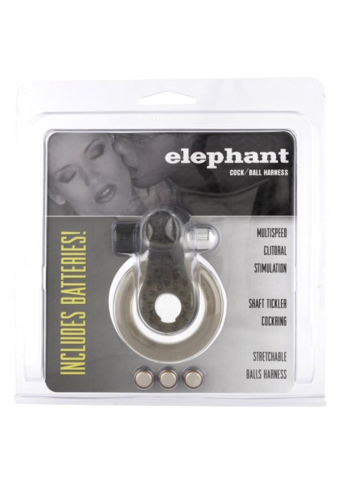 Cock & Ball Ring Elephant Transparent SCALA