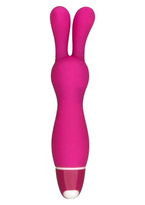 Lapin Pink SCALA