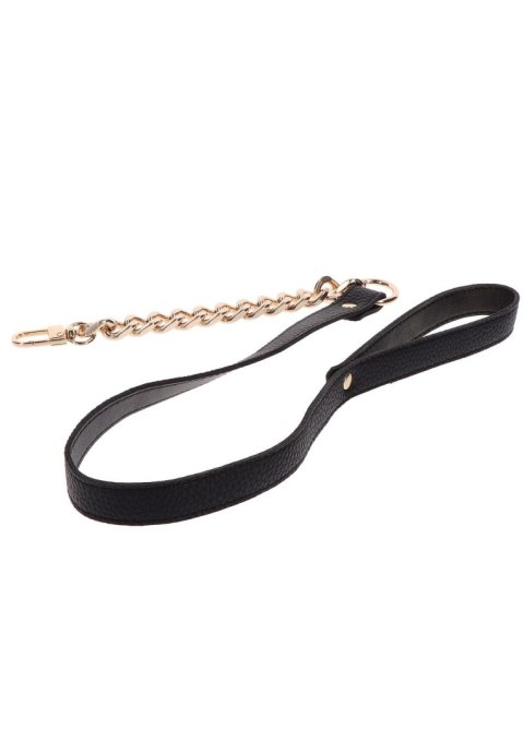 Statement Collar and leash Rose Gold SCALA