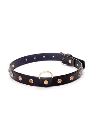 Fetish B - Series - Collar 2 cm gold crystal Boys of Toys Sp. z o.o.