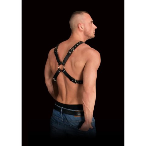 Adonis - High Halter Harness SHOTS