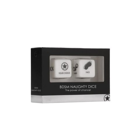 BDSM Naughty Dice SHOTS