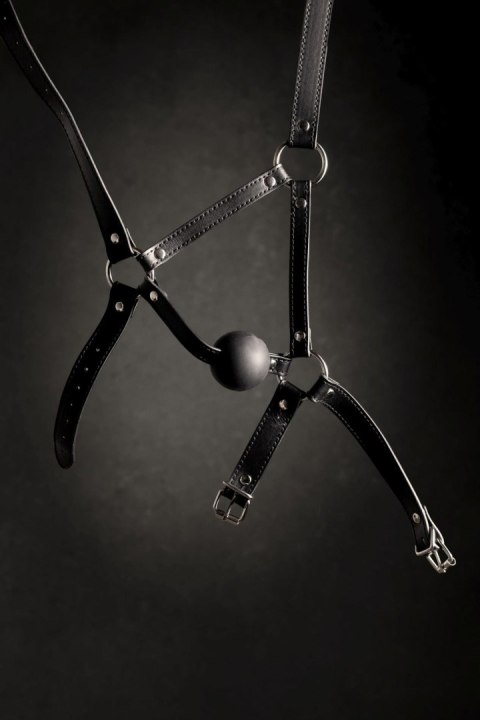 Head Harness with Solid Ball Gag - Black SHOTS