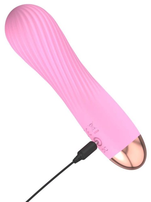 Cuties Mini Vibrator Rose 2.G ORION