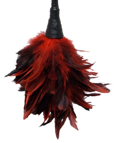 FFS Frisky Feather Duster ORION