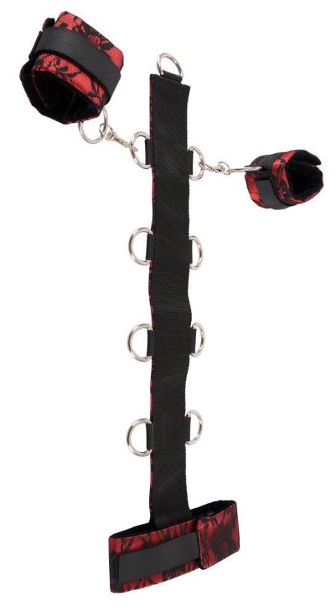 Bad Kitty Collar ORION