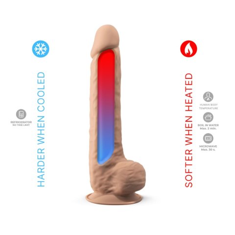 Dildo-SD.Model 1 ( 10"" ) Flesh BOX CNEX A.I.E.,S.L.