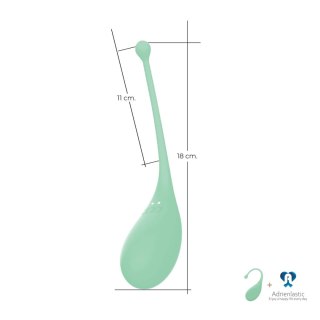 AD.Palpitation Mint (Huevo Vibrador + Cable + App) CNEX A.I.E.,S.L.