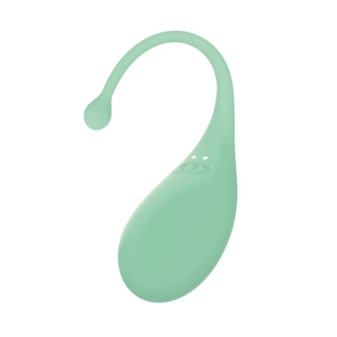 AD.Palpitation Mint (Huevo Vibrador + Cable + App) CNEX A.I.E.,S.L.