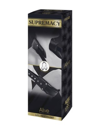 SUPREMACY CNEX A.I.E.,S.L.