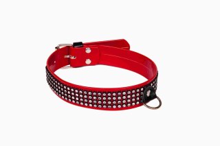 Wiązania-WHIPS lakier, obroża damska z kryształkami, czerwona, 3cm WHIPS - PPH GRAS