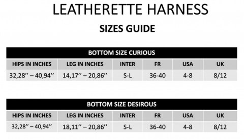 LEATHERETTE HARNESS CURIOUS DORCELl - Lovely Planet
